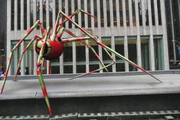 Nutzoid Spider 